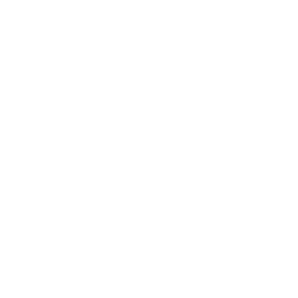 Koralit